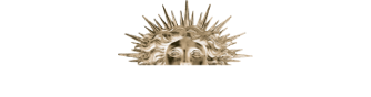 cdv_icon.png